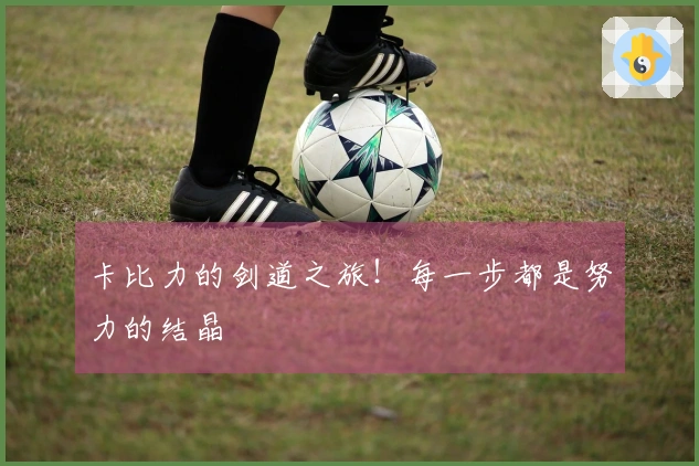 卡比力的剑道之旅！每一步都是努力的结晶