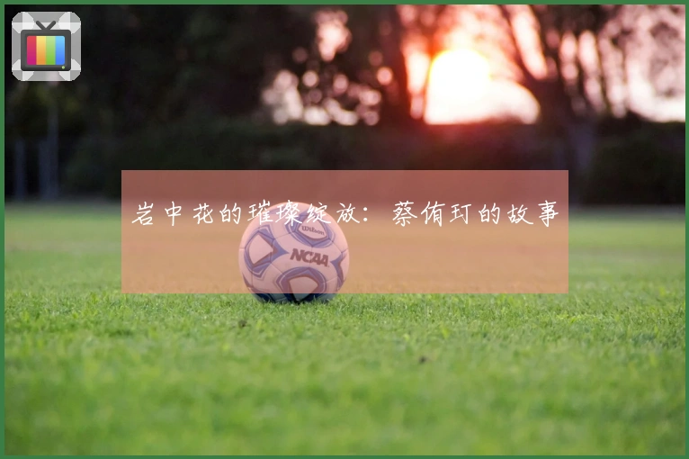 岩中花的璀璨绽放：蔡侑玎的故事