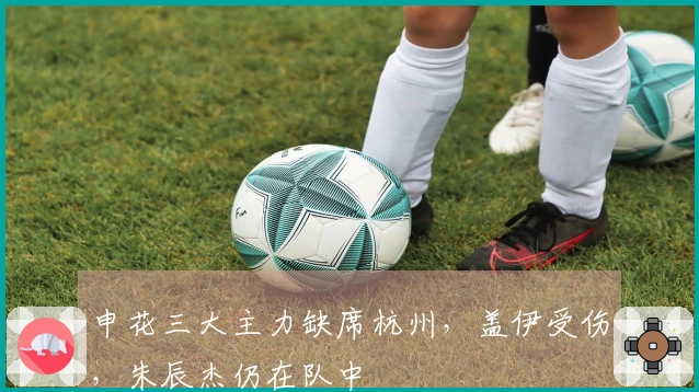 申花三大主力缺席杭州，盖伊受伤，朱辰杰仍在队中